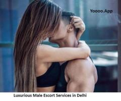 Luxurious Male Escort Services in Delhi || Women seeking men in india