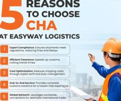 Best Logistics & Clearance Company  | Easyway Logistics - 1