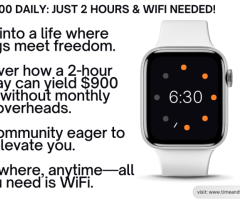 Unlock $900 Daily: Just 2 Hours & WiFi Needed! - 1