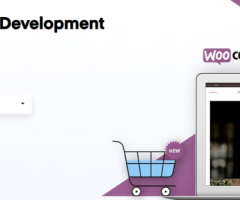 Top WooCommerce Design & Development Services Company - DIT India - 1