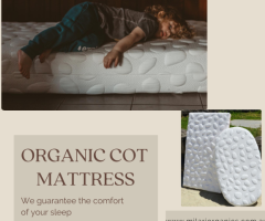 Why Should You Use an Organic Cot Mattress For Babies ?