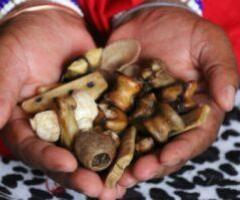 ஜஜ۩۞۩ஜ[+27672740459]☬ Sangoma, ☬Bring Back Lost Love, ☬Luck Spells Caster, ☬Spiritual Healing.