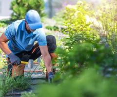 Serv Square Professional Landscaping Services - 1