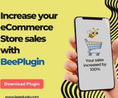 Transform Your Online Store with Custom WooCommerce Plugin Solutions - 1