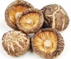 Buy Dried Mushrooms in Illinois - 1