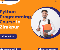 Python Programming Course in Zirakpur