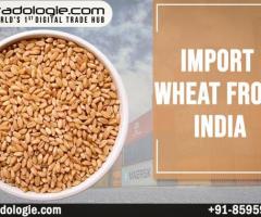 Import Wheat From India