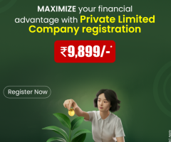 fast online private limited company registration