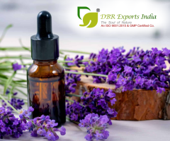 Lavender Essential Oil for Skin Care