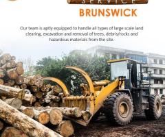 Shape Up Your Landscape with Tree Removal Service