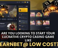 Earnbet Clone Script - Right Choice To Launch Your Crypto Casino Game