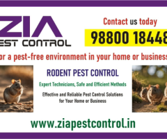 Rodent Control service for school | Hospital | Paying Guest 2056 | Zia Pest Control