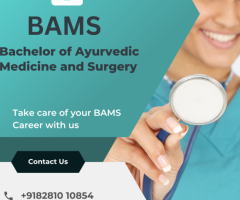 Bachelor of Ayurvedic Medicine and Surgery College in Bangalore 2024-2025