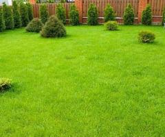 Professional Landscaping Services Clarence, NY