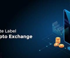 Launch Your White Label Crypto Exchange Faster and Smarter - Antier - 1