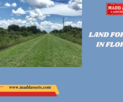 Affordable Land for Sale in Florida - 1