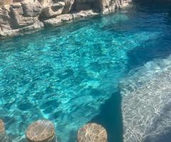 Why is regular pool cleaning service essential for your swimming pool ? - 1