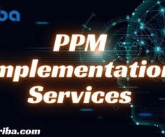 Looking for PPM Implementation Services