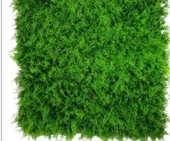 Lush Fern Artificial Green Wall 40" x 40"