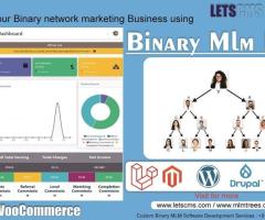 Binary mlm Plan | WP Binary MLM –Binary MLM Plugins for WordPress