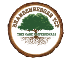 Brandenberger Tree Care Professionals LLC