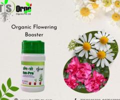 Best Flowering Booster Fertilizer for All Flowering Plants