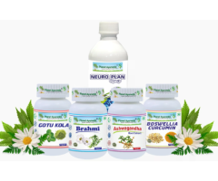 Ayurvedic Treatment For Brain Disorders - Brain Care Pack By Planet Ayurveda - 1