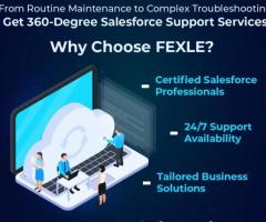 Maintain Peak Salesforce Performance with FEXLE - 1