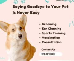 Mobile Veterinary Euthanasia Services for Pets – Compassionate Home Care