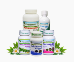 Ayurvedic Treatment Of Kidney Stone - Stone Crusher Pack By Planet Ayurveda