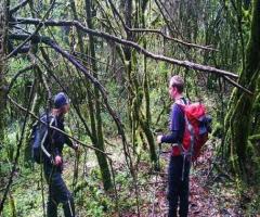 Rain Forest CUYABENO Lodges