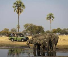 Visit To Linyanti Tented Camp Botswana Safari