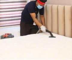 Bed Bugs Treatment in Bangalore - 1