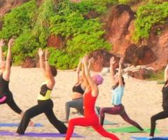 Discover the Art of Vinyasa Yoga Teacher Training Kerala | Kerala Yogashala