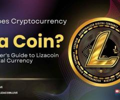 How Does Cryptocurrency Work? | A Beginner's Guide to Lizacoin and Digital Currency