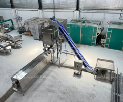 Full Automatic Cashew Processing Plant & Machine | Advanced Kaju Processing Solution - 1