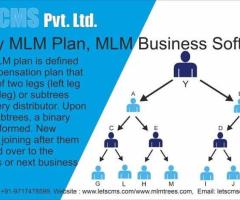 Binary MLM Software Demo | Binary MLM Compensation Plan, MLM WooCommerce Price USA