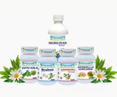 Natural Treatment of Brain Related Disorders - Brain Care Pack By Planet Ayurveda