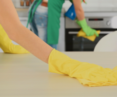 Professional House Cleaning Services