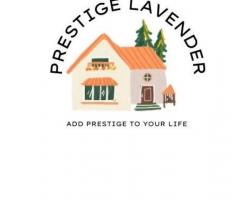 Discover the Ultimate in Urban Living at Prestige Lavender Fields, Whitefield - 1