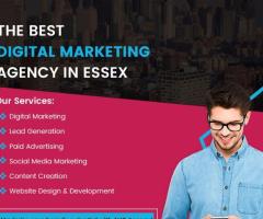 Digital Marketing Agency in Essex | AVOAgency.co.uk - 1