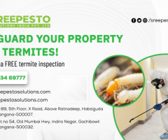 Termite Control in Hyderabad - 1