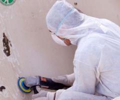 Top Mold Remediation Companies Near Me: Find Professional