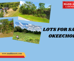 Affordable Lots for Sale in Okeechobee - 1