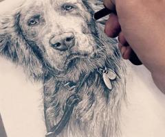 Bespoke Hand-Painted Dog Portraits in East Sussex