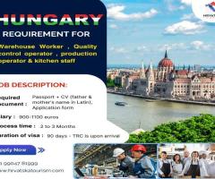 Job Opportunities in Hungary: Warehouse, Production, and Kitchen Staff