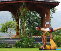 Top Reasons to Select an Ayurvedic Yoga Retreat for Complete Rejuvenation