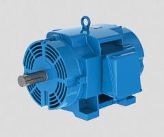 Industrial Motors