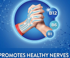 Exploring Nervovive: Ingredients That Support Your Nervous System