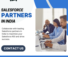 Salesforce partners